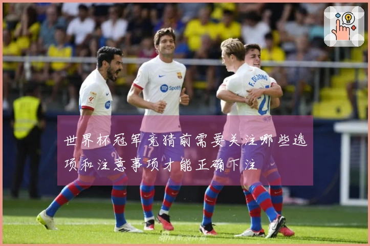 世界杯冠军竞猜前需要关注哪些选项和注意事项才能正确下注