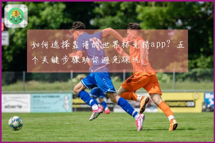 如何选择靠谱的世界杯竞猜app？五个关键步骤助你避免踩坑