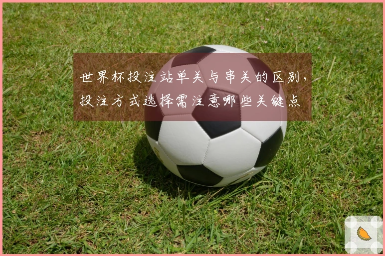 世界杯投注站单关与串关的区别，投注方式选择需注意哪些关键点