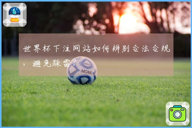 世界杯下注网站如何辨别合法合规，避免踩雷？