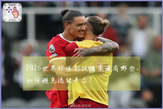 2026世界杯体彩投注渠道有哪些，如何避免选错平台？