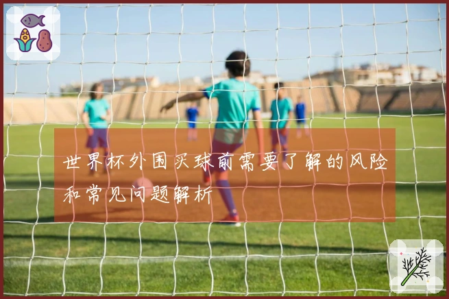世界杯外围买球前需要了解的风险和常见问题解析