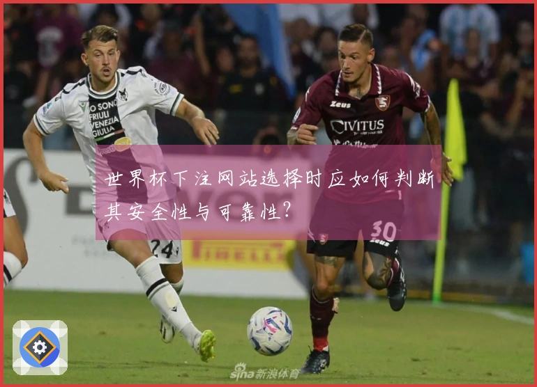 世界杯下注网站选择时应如何判断其安全性与可靠性？