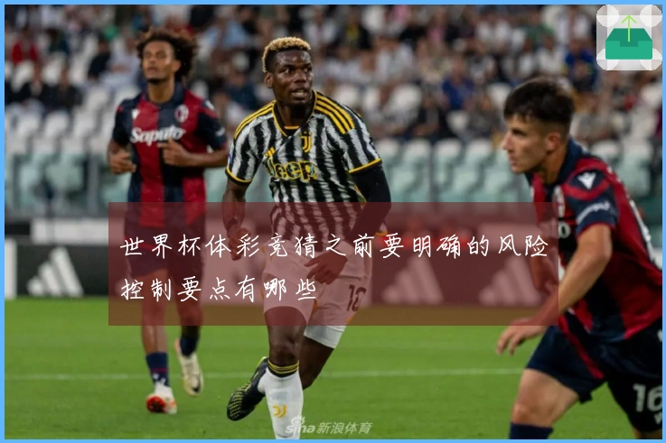 世界杯体彩竞猜之前要明确的风险控制要点有哪些