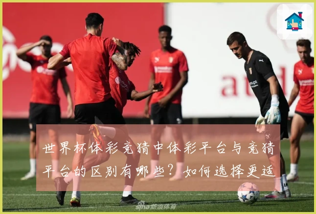 世界杯体彩竞猜中体彩平台与竞猜平台的区别有哪些？如何选择更适合自己的下注方式？
