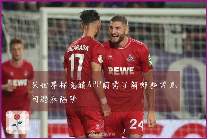 买世界杯竞猜APP前需了解哪些常见问题和陷阱