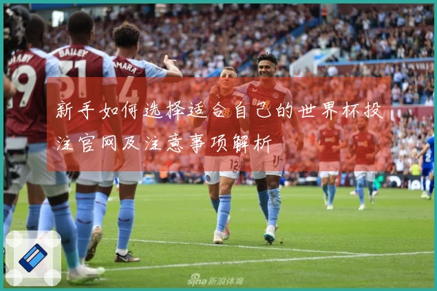 新手如何选择适合自己的世界杯投注官网及注意事项解析