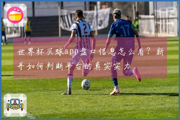 世界杯买球app盘口信息怎么看？新手如何判断平台的真实实力