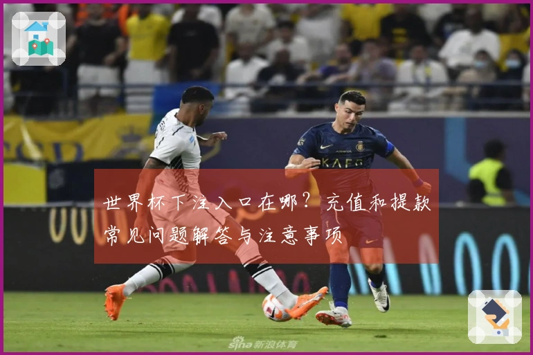世界杯下注入口在哪？充值和提款常见问题解答与注意事项
