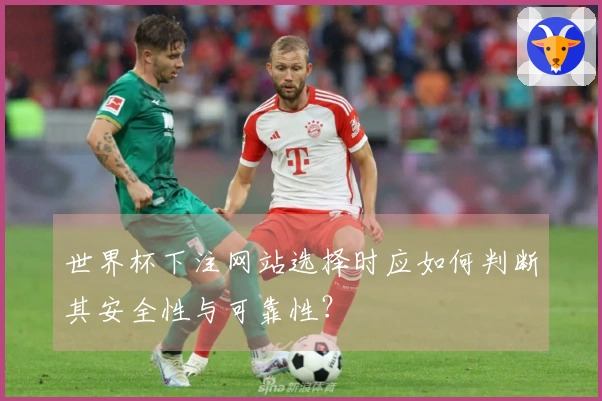 世界杯下注网站选择时应如何判断其安全性与可靠性？