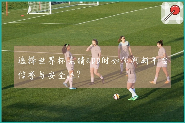 选择世界杯竞猜app时如何判断平台信誉与安全性?