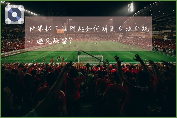 世界杯下注网站如何辨别合法合规，避免踩雷？