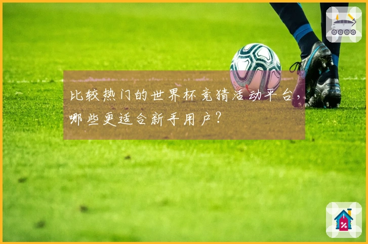 比较热门的世界杯竞猜活动平台，哪些更适合新手用户？
